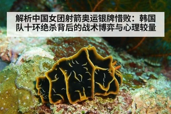 解析中国女团射箭奥运银牌惜败：韩国队十环绝杀背后的战术博弈与心理较量