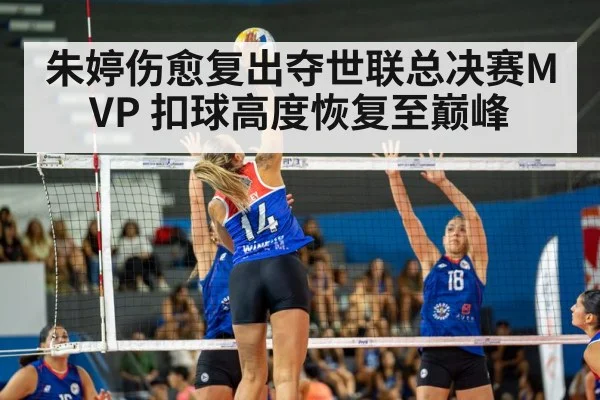 volleyball match