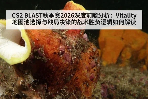 CS2 BLAST秋季赛2026深度前瞻分析：Vitality地图池选择与残局决策的战术胜负逻辑如何解读