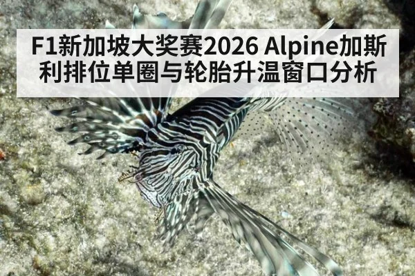 F1新加坡大奖赛2026 Alpine加斯利排位单圈与轮胎升温窗口分析